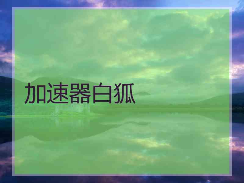 加速器白狐