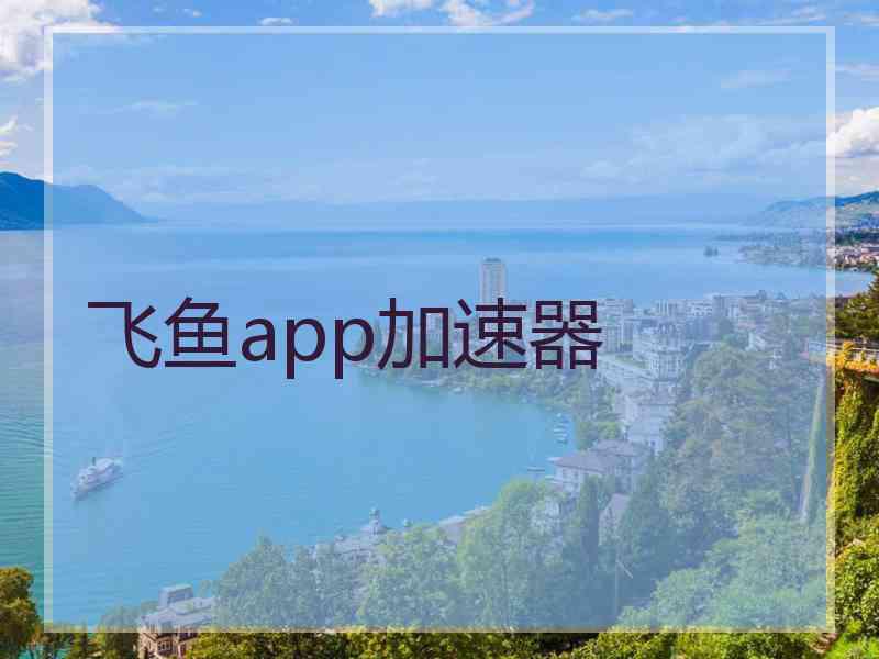 飞鱼app加速器