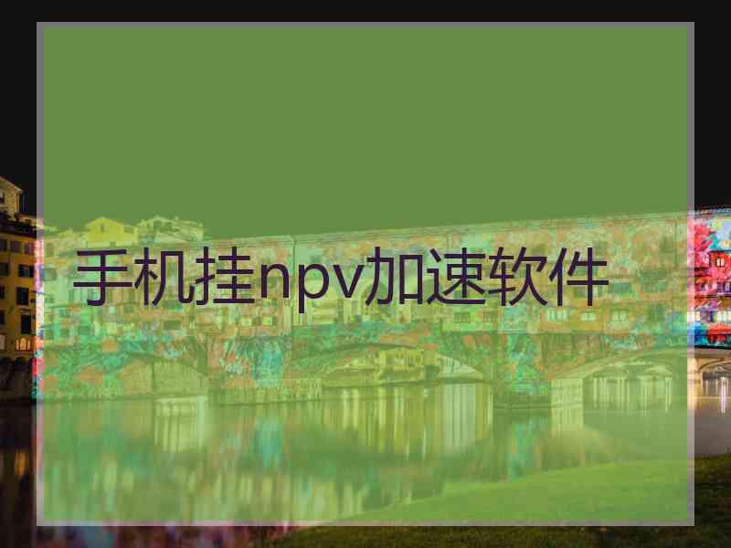 手机挂npv加速软件