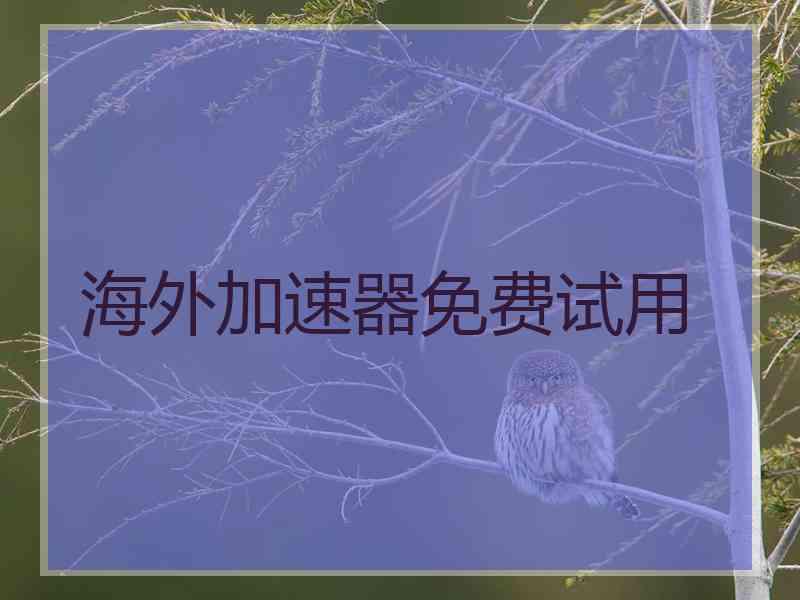 海外加速器免费试用