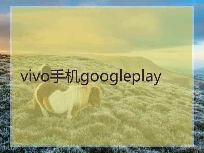 vivo手机googleplay