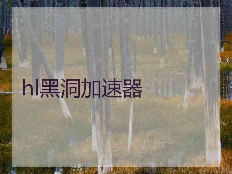 hl黑洞加速器