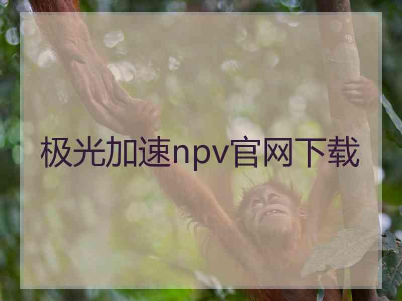 极光加速npv官网下载