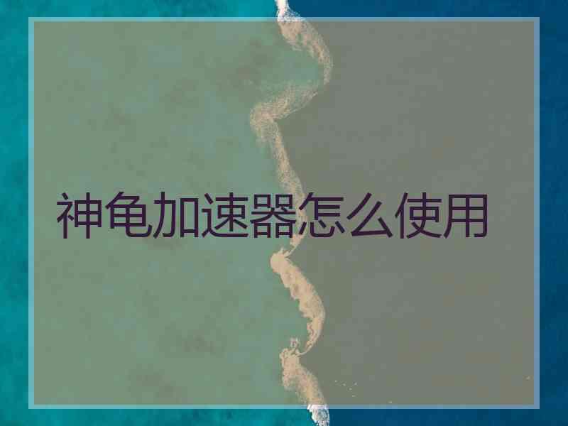 神龟加速器怎么使用