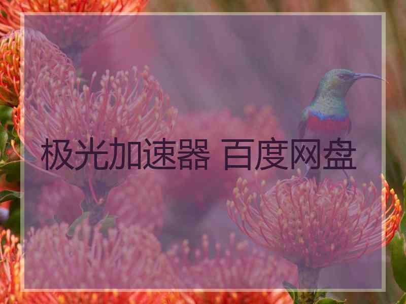 极光加速器 百度网盘