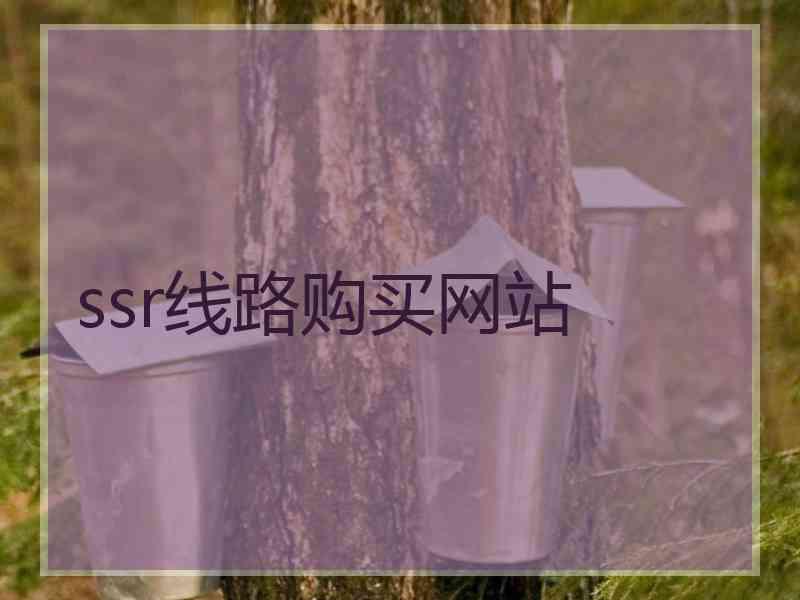ssr线路购买网站