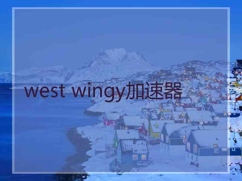 west wingy加速器