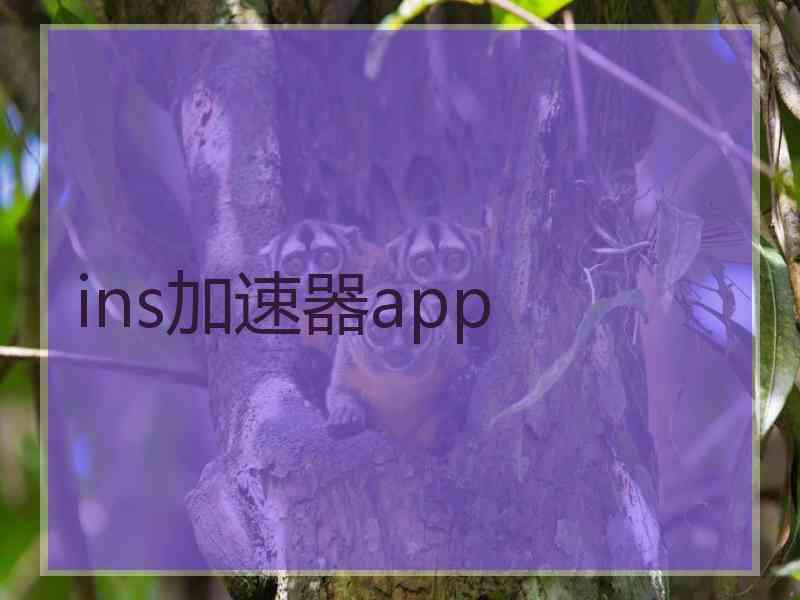 ins加速器app