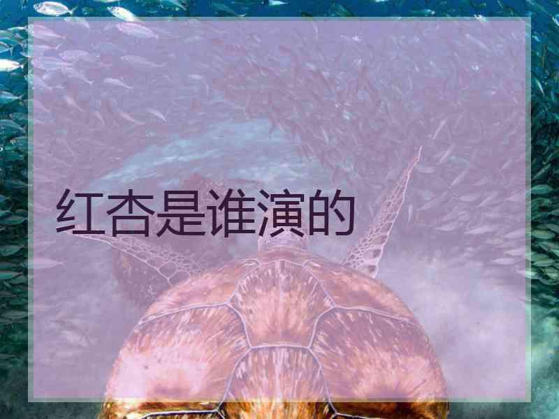 红杏是谁演的