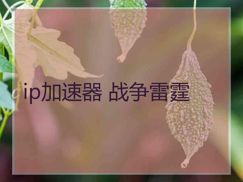 ip加速器 战争雷霆