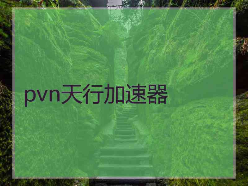 pvn天行加速器