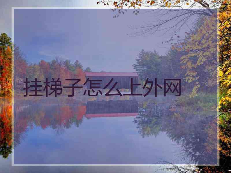 挂梯子怎么上外网