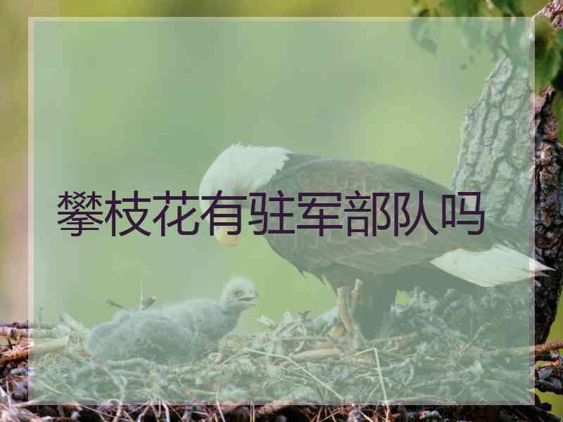 攀枝花有驻军部队吗