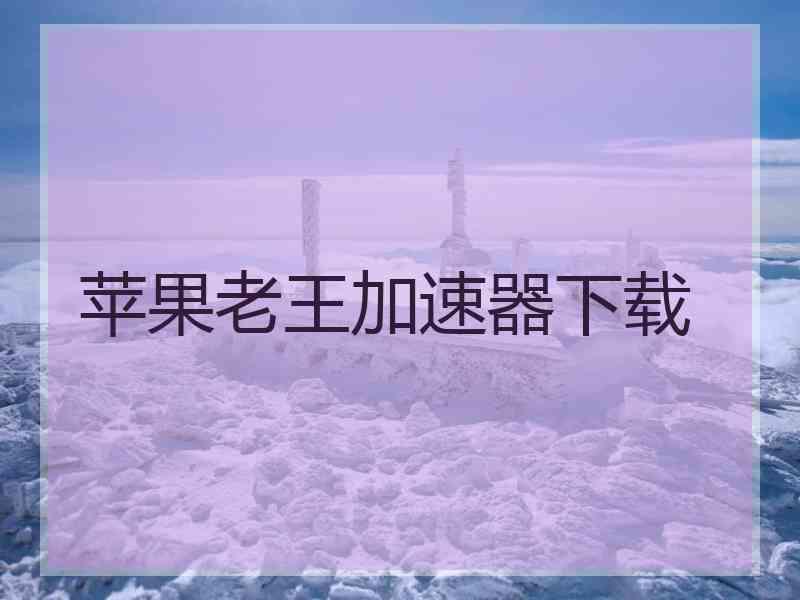 苹果老王加速器下载