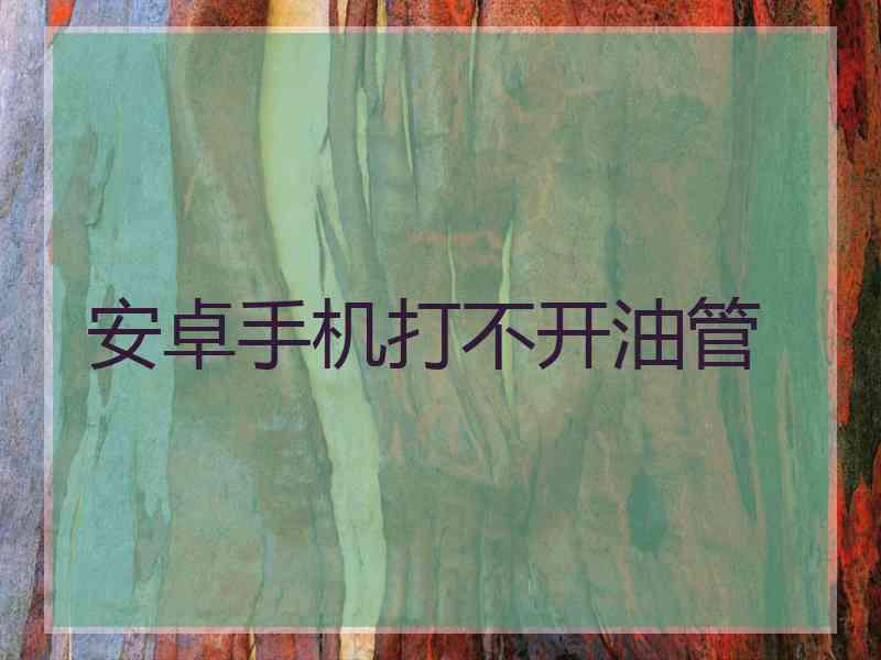 安卓手机打不开油管