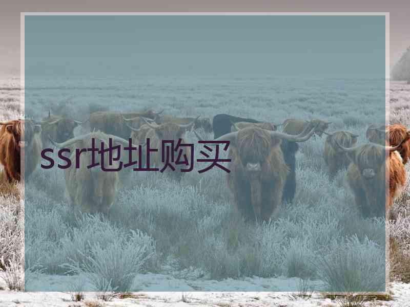 ssr地址购买