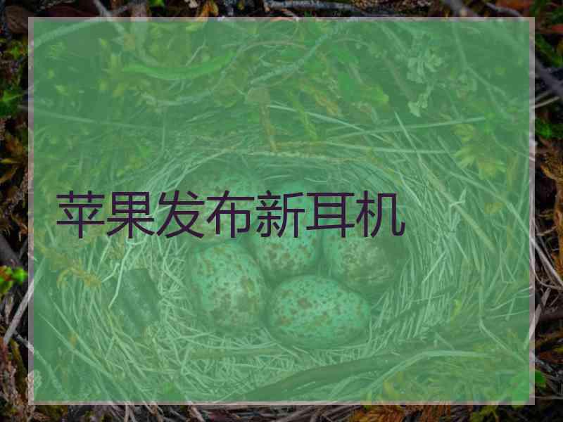 苹果发布新耳机