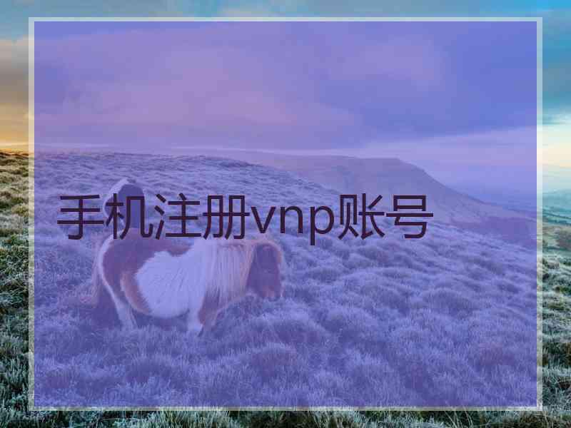 手机注册vnp账号