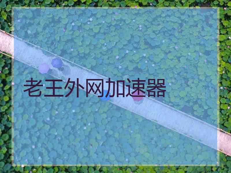 老王外网加速器