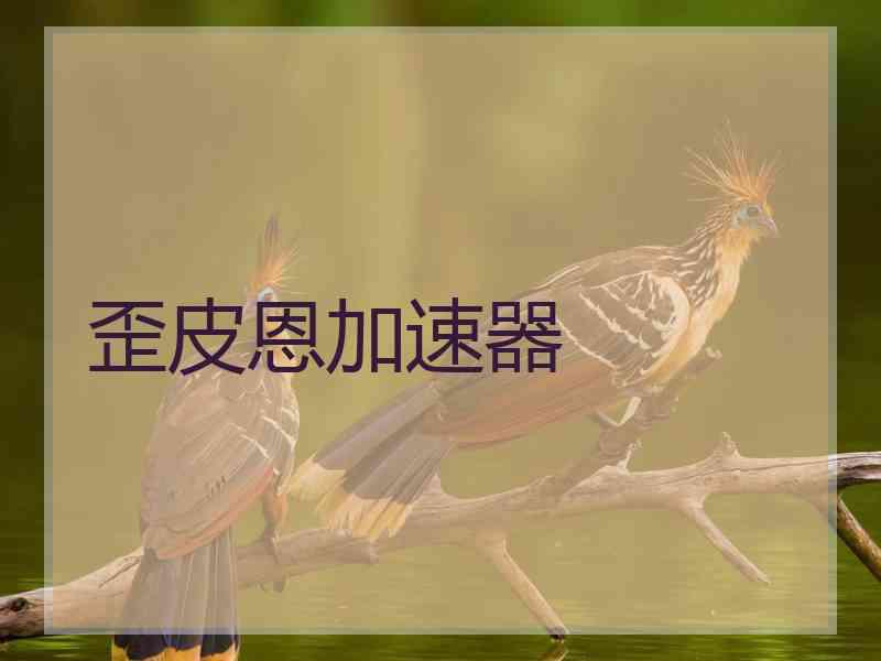 歪皮恩加速器