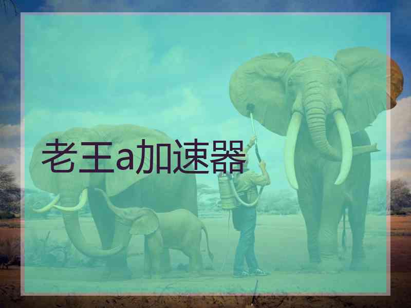 老王a加速器