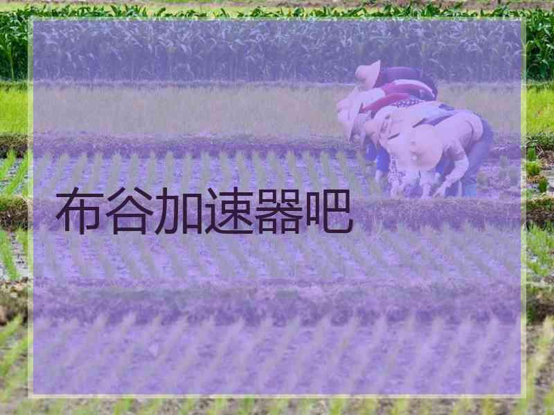 布谷加速器吧