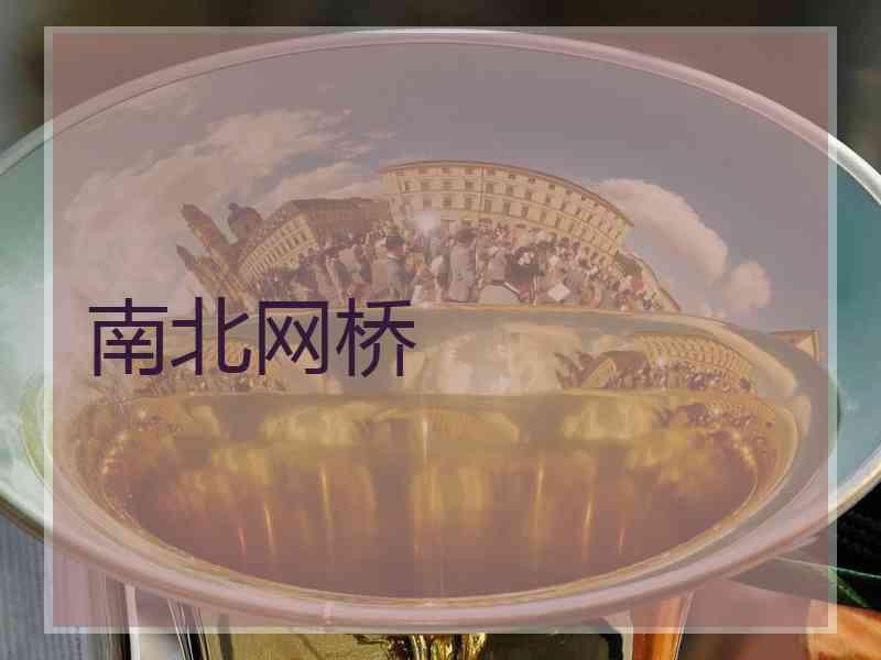 南北网桥