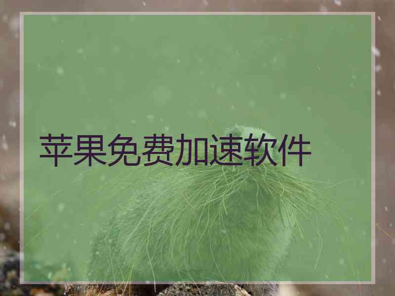 苹果免费加速软件