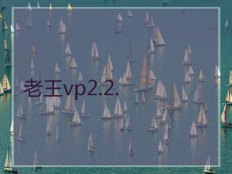 老王vp2.2.