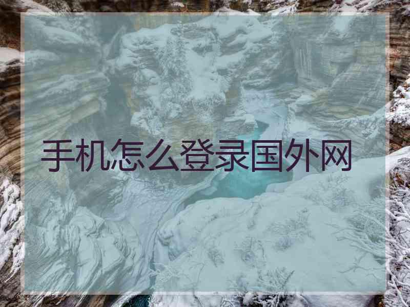 手机怎么登录国外网
