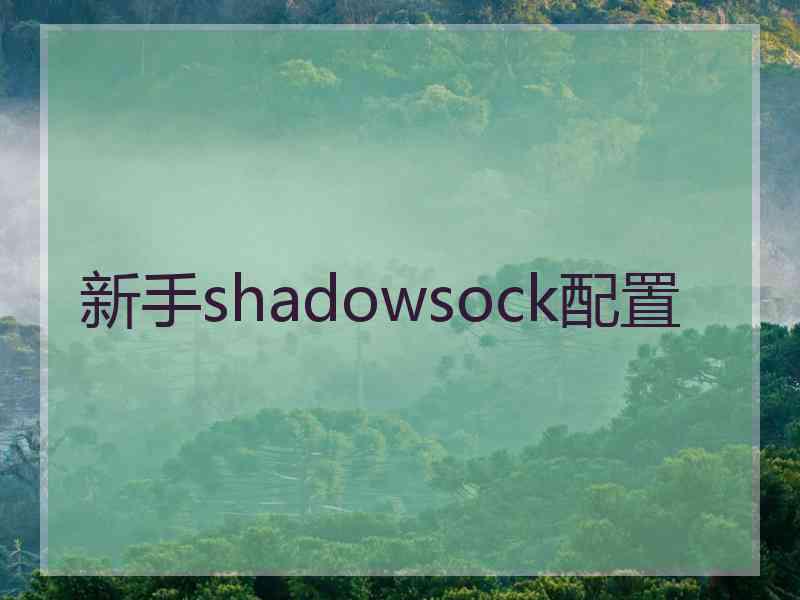 新手shadowsock配置