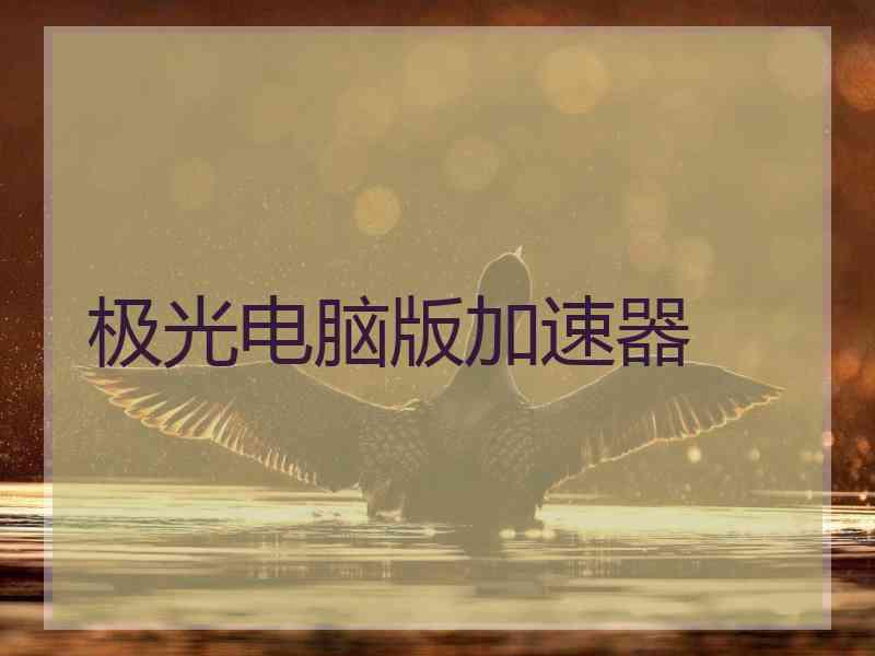 极光电脑版加速器