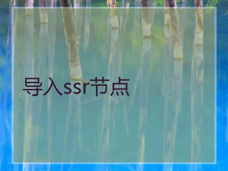 导入ssr节点