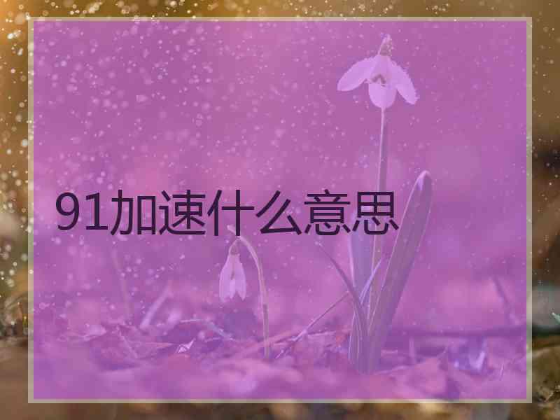 91加速什么意思