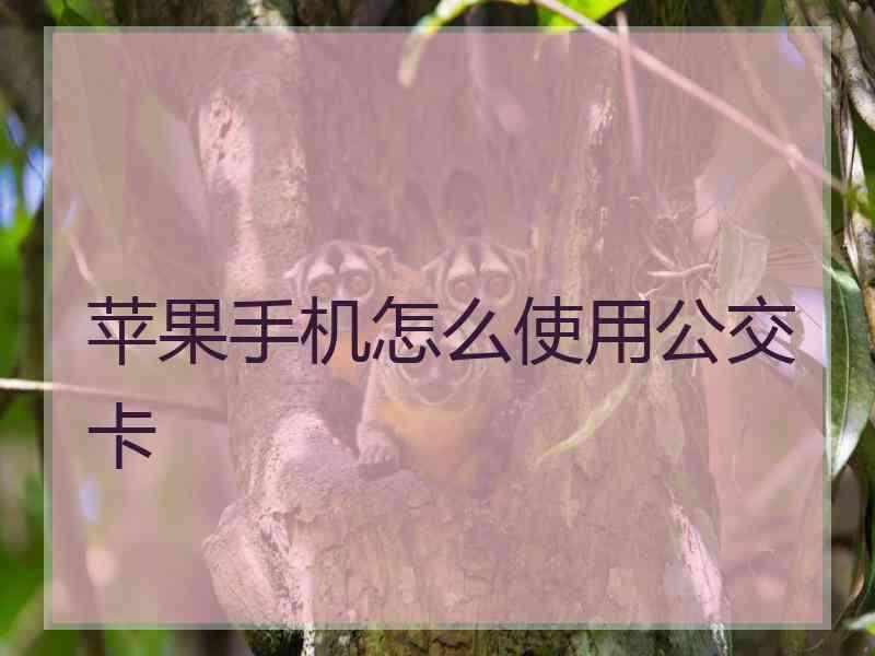 苹果手机怎么使用公交卡