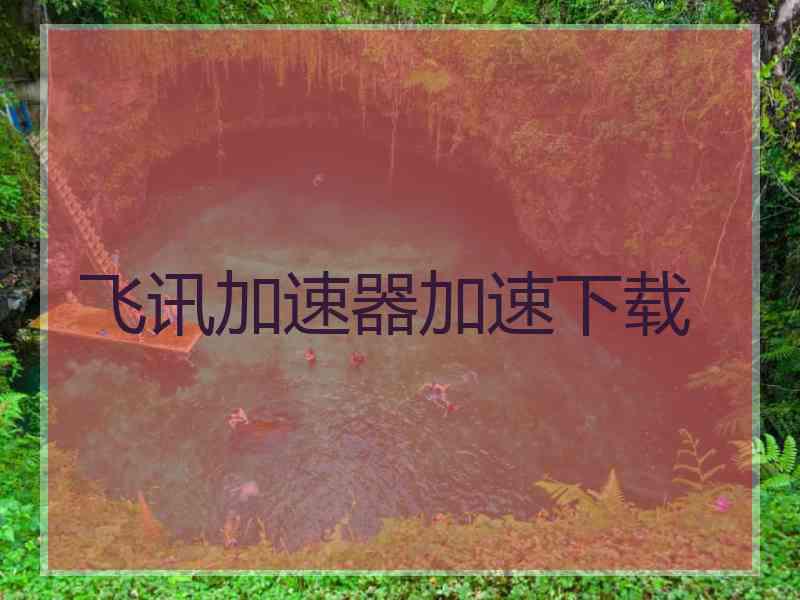 飞讯加速器加速下载