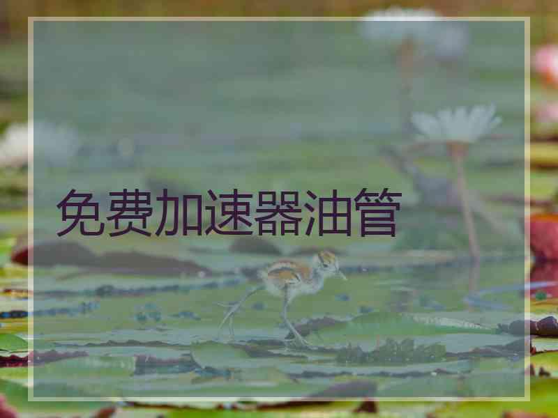 免费加速器油管