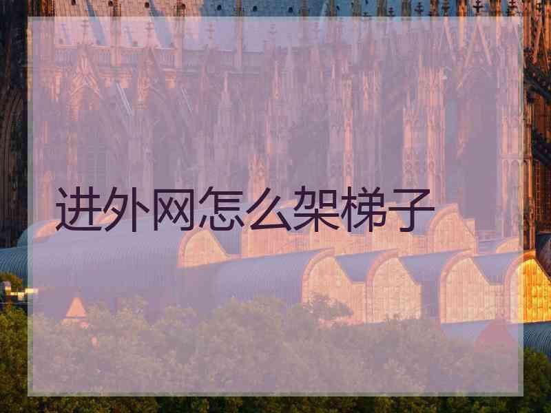 进外网怎么架梯子