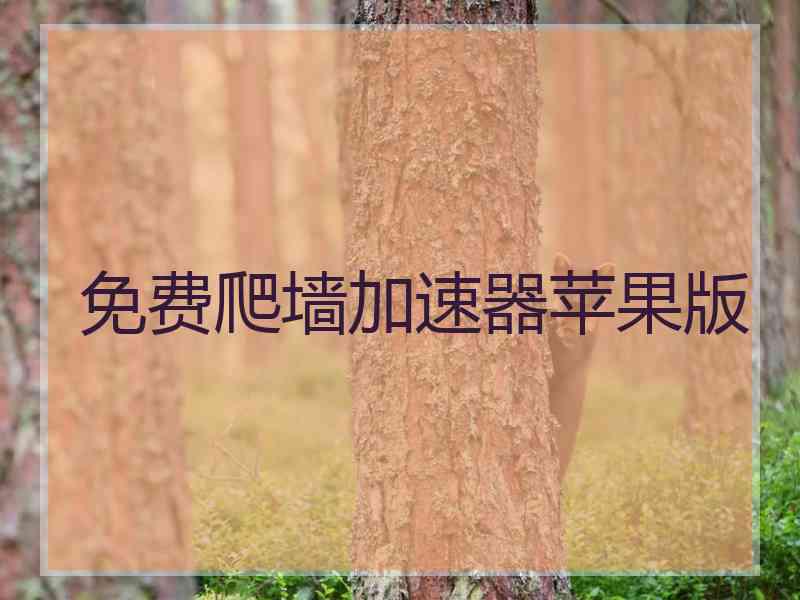 免费爬墙加速器苹果版