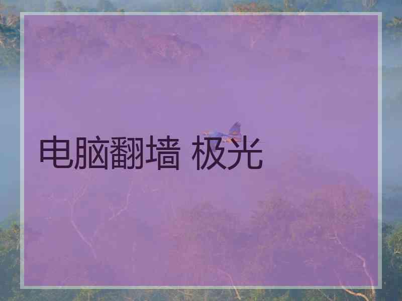 电脑翻墙 极光