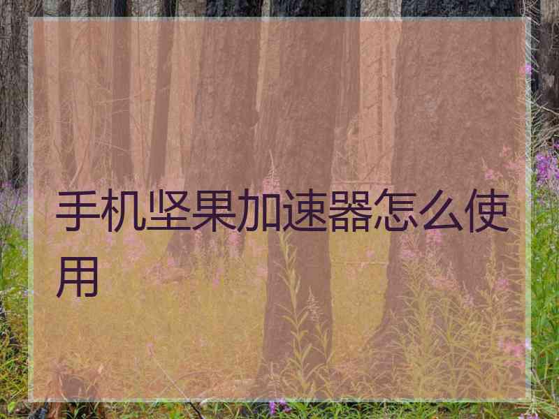 手机坚果加速器怎么使用