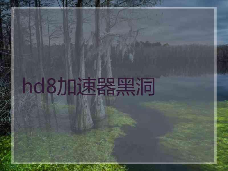 hd8加速器黑洞