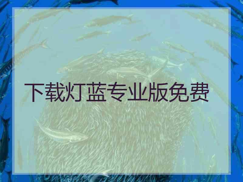 下载灯蓝专业版免费