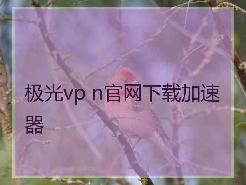 极光vp n官网下载加速器