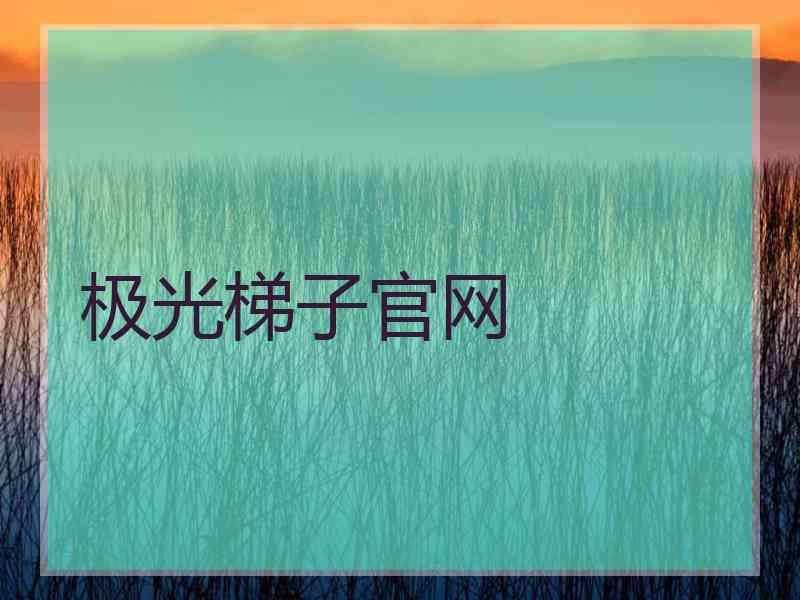 极光梯子官网