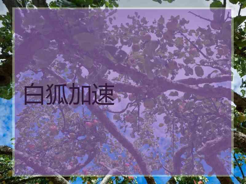 白狐加速