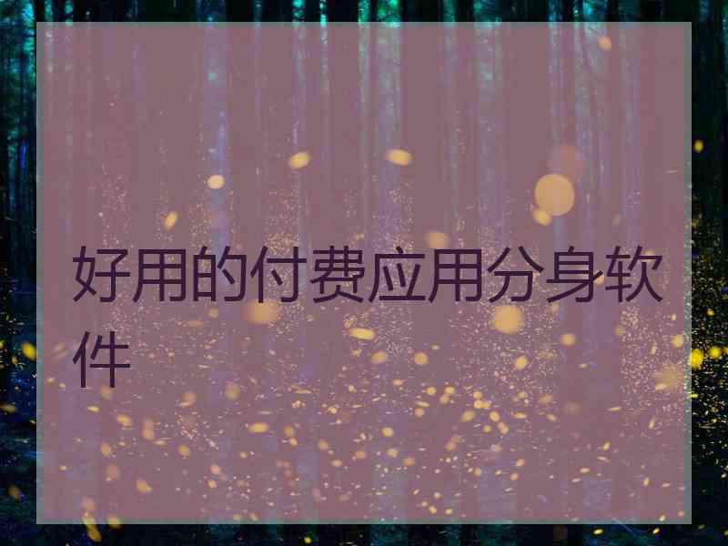 好用的付费应用分身软件