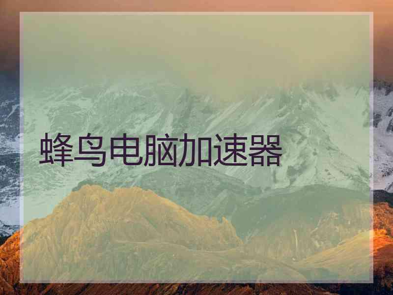 蜂鸟电脑加速器