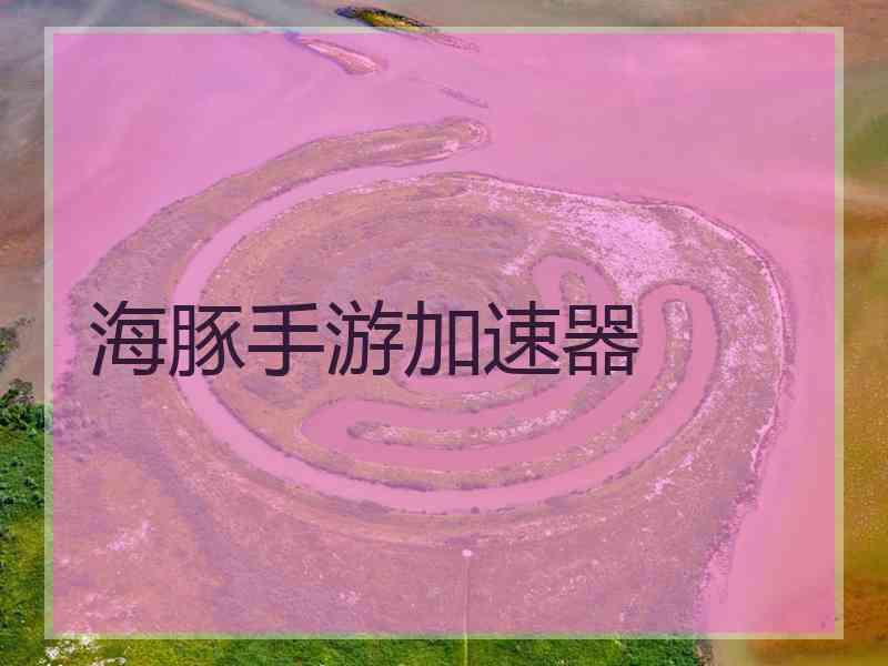 海豚手游加速器