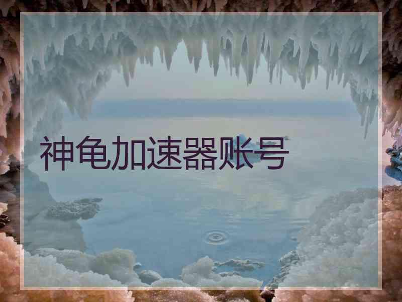 神龟加速器账号